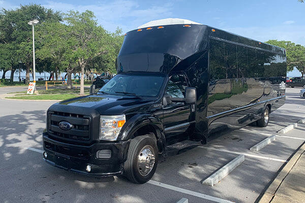 28 Passenger limo bus