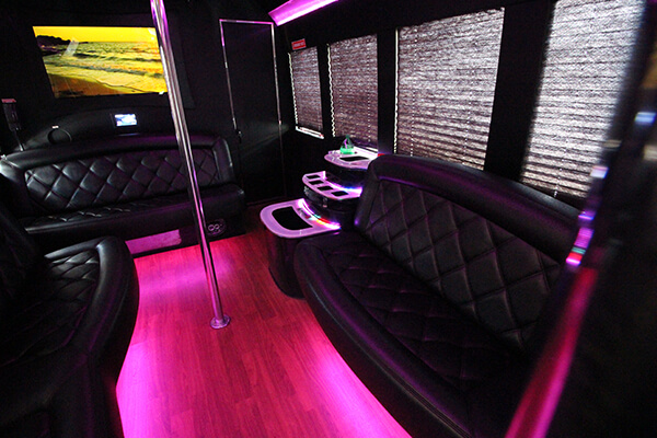 Our 42 Passenger party bus